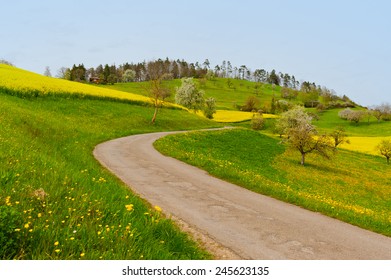 Asphalt Road between Green and Yellow Fields in the Swiss Alps 