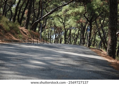 Similar – Image, Stock Photo Asphalt road between hills and forest