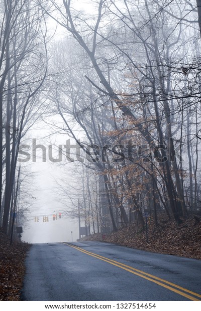 Asphalt road to foggy\
forest