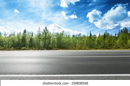 Forest Road High Res Stock Images Shutterstock