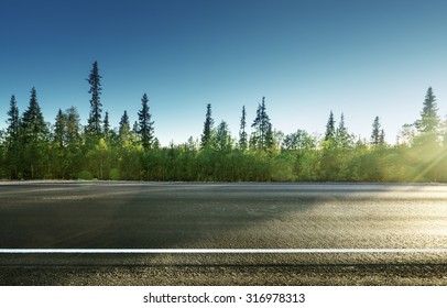 asphalt road in forest