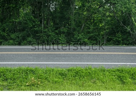 Asphalt road in the forest. Road background.