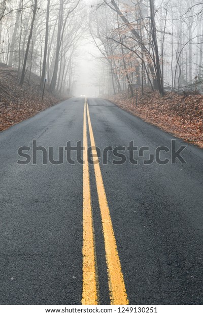 Asphalt road to forest in an foggy weather in\
autumn season