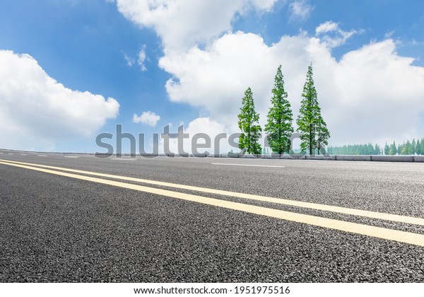 Asphalt road and\
green trees in spring\
season.