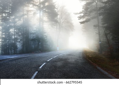 Asphalt road (highway) through the evergreen pine forest in a white fog. French Alsace, France. Atmospheric autumn landscape. Travel destinations, vacations, freedom, ecotourism, pure nature - Powered by Shutterstock