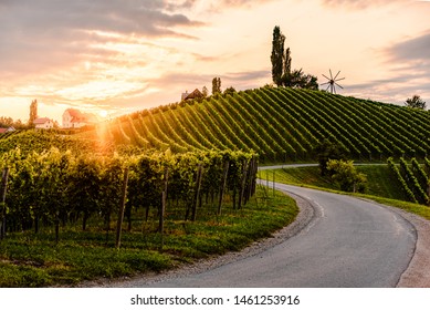Asphalt road leading through country side of south Austrian Vineyards in south styria. Sunset view at grape hills.