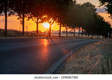Asphalt road and a line of trees during sunset - Shutterstock ID 1998487385