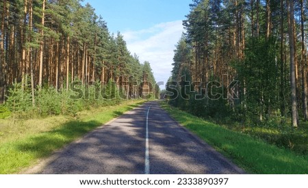 The asphalt road with markings and grassy shoulders is laid through a pine forest. Young trees are growing along the edges. Sunny weather and blue sky with clouds
