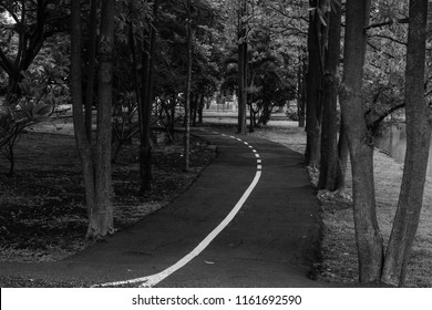 asphalt road in the park black and white style - Shutterstock ID 1161692590