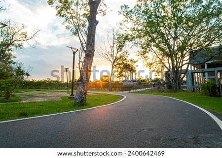 Asphalt road park on running walk way with green meadow grass sunset light nature background