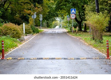 Asphalt road receding into the distance in the suburbs. Traffic safety speed bump in the foreground. Selective focus