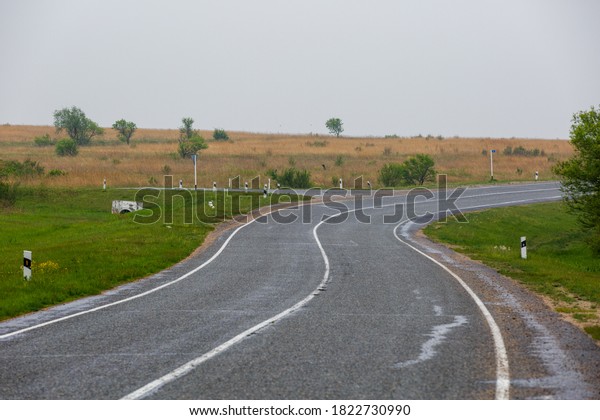 Asphalt road receding into the distance among\
green fields