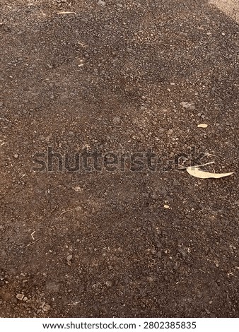 an asphalt road with rough or poor-quality workmanship
