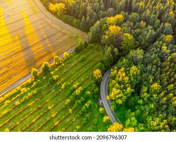 Asphalt Road In Rural Landscape From Above