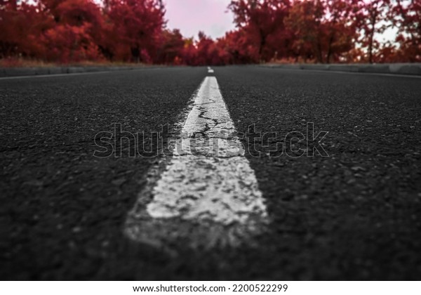Asphalt road texture background, black tarmac\
surface with white marking stripes, Transport background. Dark\
street texture detail.  dividing line - road marking. low angle\
shooting. selective\
focus