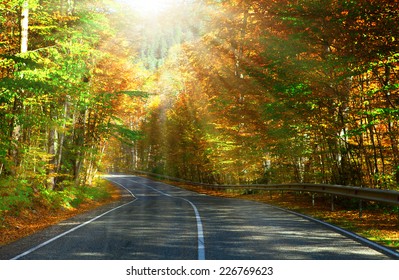 139,599 Road Through Trees Images, Stock Photos & Vectors | Shutterstock