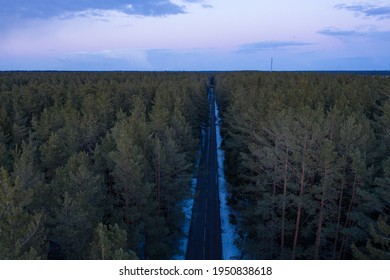 Asphalt road through the forest. Summer coniferous forest travel landscape. Long empty straight road and blue cloudy sky above.
