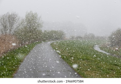 Asphalt Road Through A Wetland Nature Reserve With Bare Trees, Grass And A Snow Storm