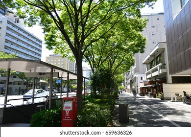 Asphalt Road With Tree In City