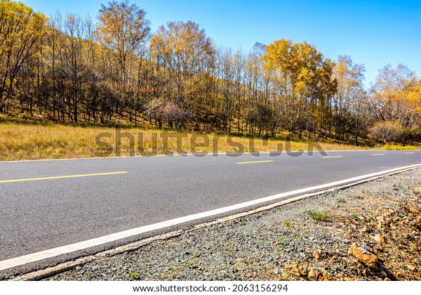 Asphalt road and trees with mountain nature\
landscape at autumn.