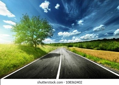 Asphalt Road In Tuscany Italy