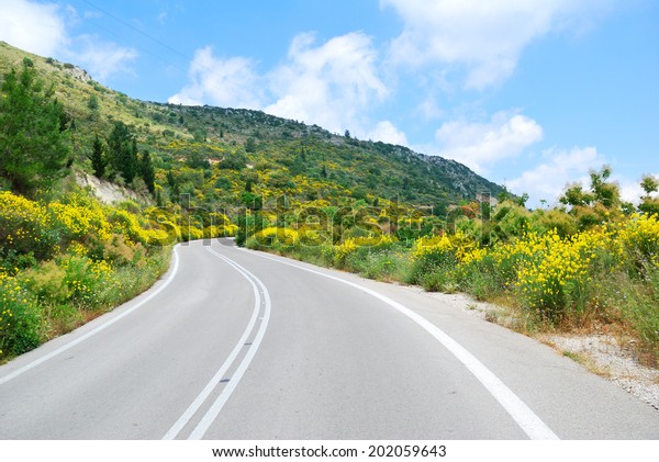 Asphalt road winding\
through flower hills