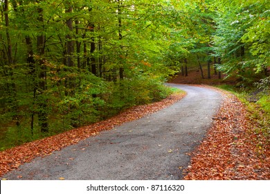 Asphalt road winding through the woods. - Shutterstock ID 87116320