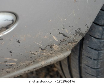 The asphalt is stuck on the car. - Shutterstock ID 1952966176
