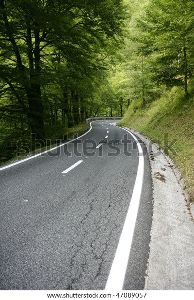 Asphalt\
winding curve road in a beech green\
forest