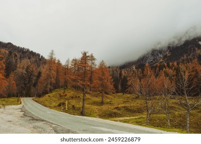 Asphalt winding road over the Vršič mountain pass on a foggy day - Powered by Shutterstock