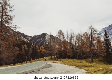 Asphalt winding road over the Vršič mountain pass on a foggy day - Powered by Shutterstock