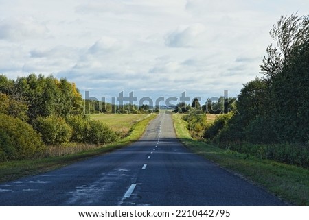Asphalted country road with green trees on roadsides in perspective at cloudy autumn day. Car tourism