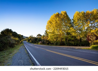 Asphalted Road In Rural Area In Southern Brazil.