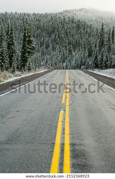 Asphalted wet road with yellow\
dividing stripes. Danger of ice, slippery pavement. Spruce branches\
are covered with frost after snowfall. Car ride among\
conifers.