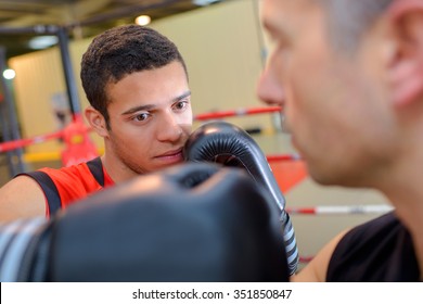 Aspiring Boxing Champ