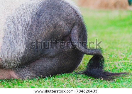 Ass sleeping Nude Photos 35 Ass sleeping Nude Photos 9
