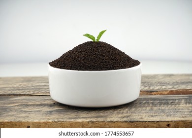 Assam Indian Black Tea (chai)  Patti Powder Served In White Bowl Mari Masala Tea.