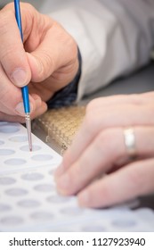 Assay Tray Loading Sample With A Small Paint Brush