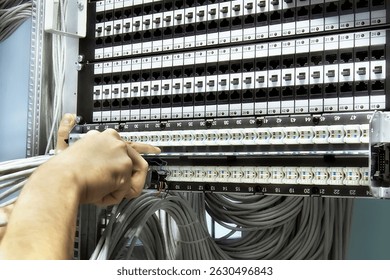 assembly network new patch panels