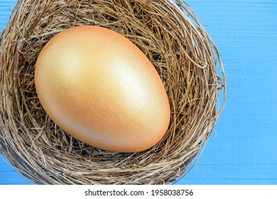 Asset Allocation For High Growth, Sustainable Portfolio, Long-term Wealth Management With Risk Diversification, Financial Concept : One Golden Eggs In A Bird Nest Or A Basket On Blue Wood Background