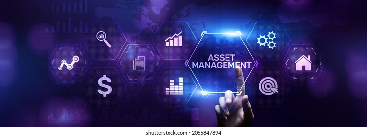 Asset Management Financial Property Digital Software Assets SAM DAM.