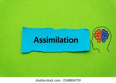 Assimilation.The word is written on a slip of colored paper. Psychological terms, psychologic words, Spiritual terminology. psychiatric research. Mental Health Buzzwords.
