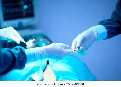 Assistant Hands out Instruments to Surgeons During Operation. Surgeons Perform Operation , Hospital surgical concept