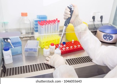 The Assistant In The Laboratory Conducts An Analysis Of Saliva For The Isolation Of DNA, Close-up On Hands With Pipette And Test Tubes