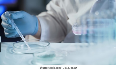 Assistant of reproductive medicine clinic fertilizing egg outside female body - Shutterstock ID 761873650