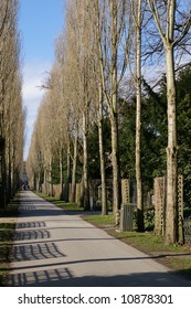 Assistens Cemetery In Copenhagen