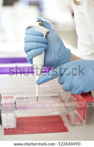 Assistent working with DNA samples