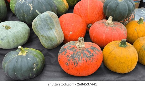 Assorted Autumn Pumpkins And Squash Of Different Shapes Colors And Textures Arranged On Dark Display Surface At Market