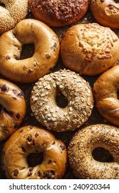 Assorted Bagels