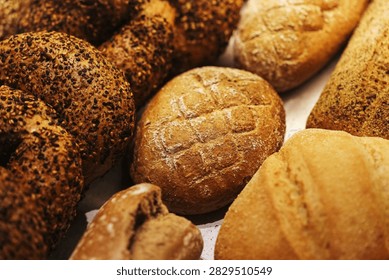 Assorted bread rolls in bakery. Brown loaves have seeded crusts. Round bread sits among rolls. Flour covers baked surfaces. Different bread shapes fill background. Fresh bakery products in closeup.